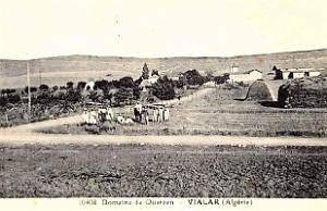 Vialar - Domaine de Ouarzen -1934